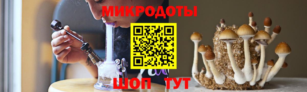 Псилоцибиновые грибы Magic Shrooms  Вход с VPN  Североморск  Псилоцибиновые грибы Magic Shrooms 